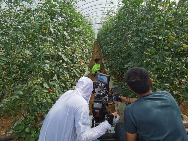 武安市产品宣传视频拍摄公司进阶指南，助力品牌抢占传播高地